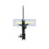 Stötdämpare MM-00329 Japanparts, miniatyr 6