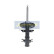 Stötdämpare MM-00403 Japanparts, miniatyr 6