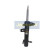 Stötdämpare MM-00583 Japanparts, miniatyr 4