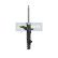 Stötdämpare MM-00766 Japanparts, miniatyr 5