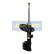 Stötdämpare MM-00995 Japanparts, miniatyr 5