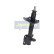Stötdämpare MM-10003 Japanparts, miniatyr 5