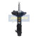Stötdämpare MM-10064 Japanparts, miniatyr 2