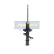 Stötdämpare MM-10099 Japanparts, miniatyr 3