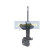 Stötdämpare MM-20005 Japanparts, miniatyr 5