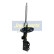 Stötdämpare MM-33101 Japanparts, miniatyr 3