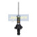 Stötdämpare MM-40035 Japanparts, miniatyr 4