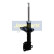 Stötdämpare MM-70043 Japanparts, miniatyr 2