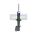Stötdämpare MM-80005 Japanparts, miniatyr 5