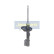 Stötdämpare MM-80012 Japanparts, miniatyr 5