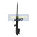Stötdämpare MM-90023 Japanparts, miniatyr 3