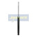 Stötdämpare MM-W0031 Japanparts, miniatyr 4