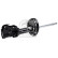 Amortisseur 1002452 FEBI, Vignette 2