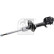 Amortisseur 1002825 FEBI