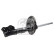 Amortisseur 1002899 FEBI, Vignette 2