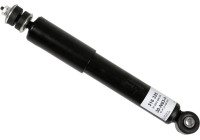 Amortisseur 316 325 Sachs
