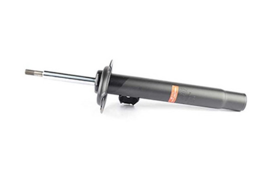 Amortisseur BSG 15-300-010