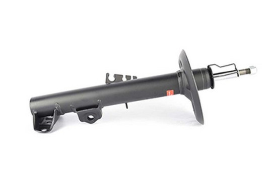 Amortisseur BSG 15-300-020