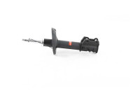 Amortisseur BSG 25-300-001