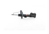 Amortisseur BSG 25-300-002