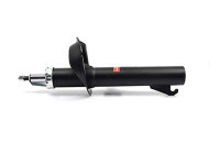 Amortisseur BSG 30-300-014