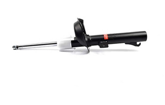 Amortisseur BSG 30-300-020
