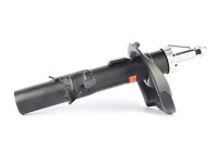 Amortisseur BSG 30-300-055