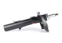 Amortisseur BSG 30-300-056