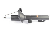 Amortisseur BSG 30-300-061
