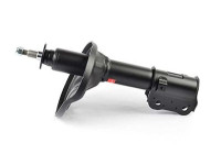 Amortisseur BSG 40-300-017