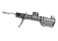 Amortisseur BSG 60-300-042