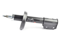 Amortisseur BSG 65-300-024