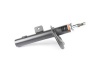 Amortisseur BSG 70-300-002