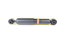 Amortisseur BSG 70-300-012