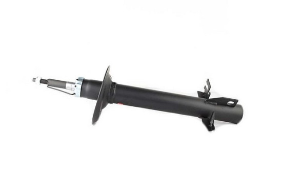 Amortisseur BSG 70-300-022