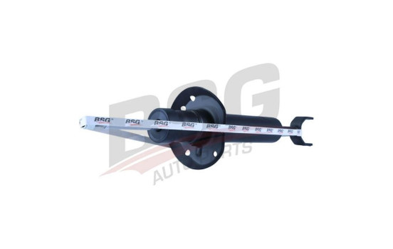 Amortisseur BSG 90-300-020, Image 5