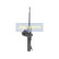 Amortisseur MM-00219 Japanparts, Vignette 5