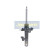 Amortisseur MM-00230 Japanparts, Vignette 4