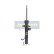 Amortisseur MM-00238 Japanparts, Vignette 2