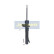 Amortisseur MM-00238 Japanparts, Vignette 3