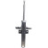 Amortisseur MM-00242 Japanparts
