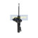Amortisseur MM-00248 Japanparts, Vignette 2