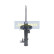 Amortisseur MM-00326 Japanparts, Vignette 6