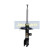Amortisseur MM-00376 Japanparts