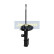 Amortisseur MM-00376 Japanparts, Vignette 3