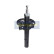 Amortisseur MM-00416 Japanparts, Vignette 6