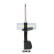 Amortisseur MM-00429 Japanparts, Vignette 2