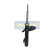 Amortisseur MM-00449 Japanparts, Vignette 5