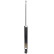 Amortisseur MM-00498 Japanparts