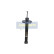 Amortisseur MM-00524 Japanparts